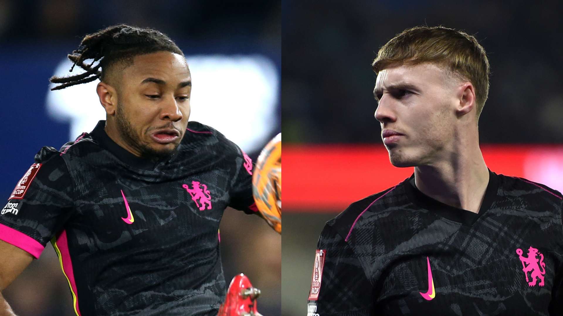 还是文化因 还是文化因