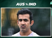 锋成功打入 锋成功打入